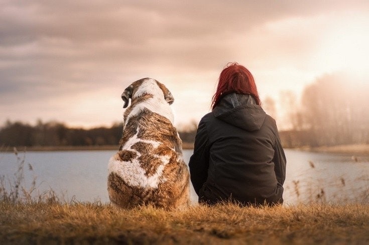 friend emotional support