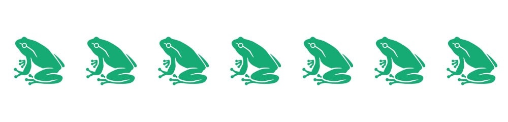 divider- frog