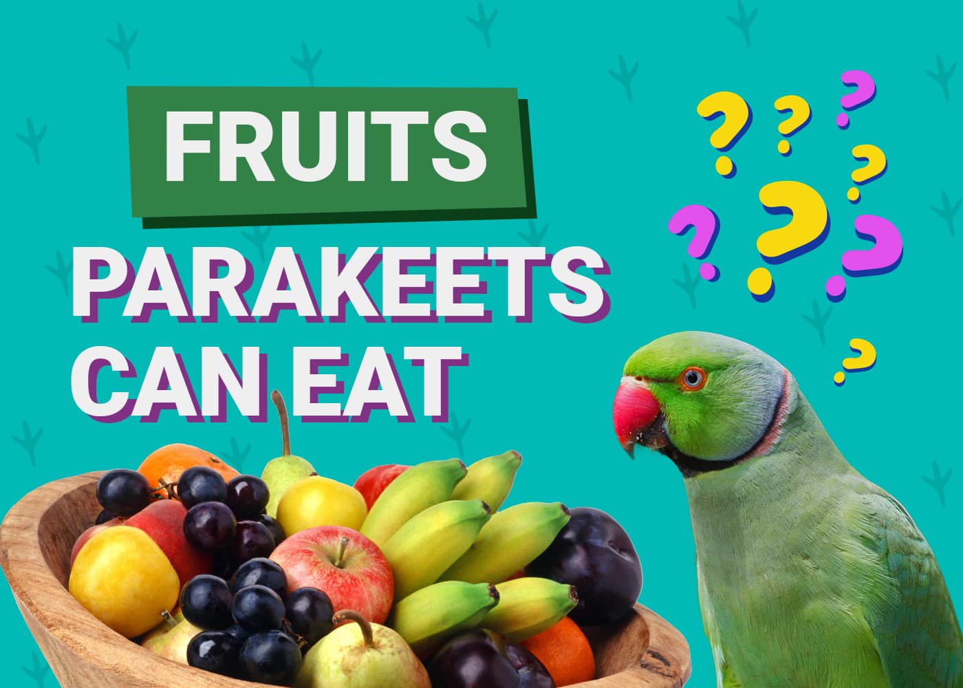 Fruits Can Parakeets Eat
