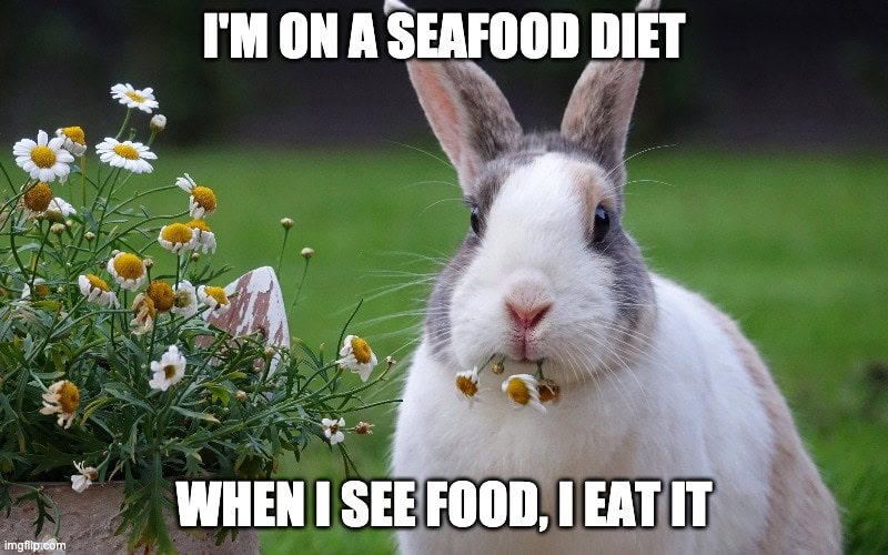 rabbit memes seafood diet