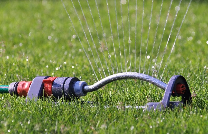 garden sprinkler