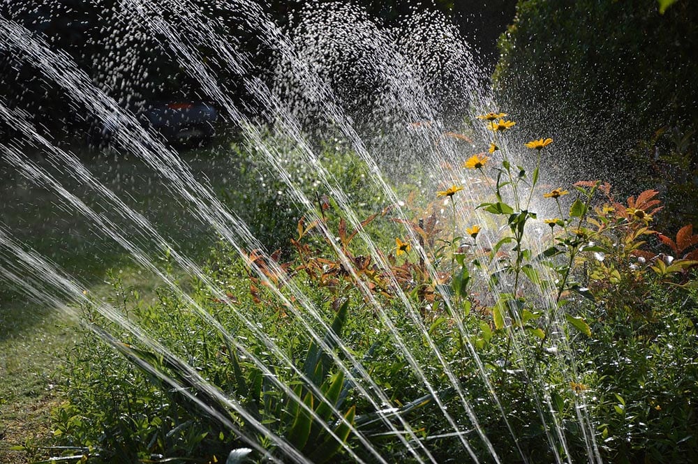 garden with sprinkler system