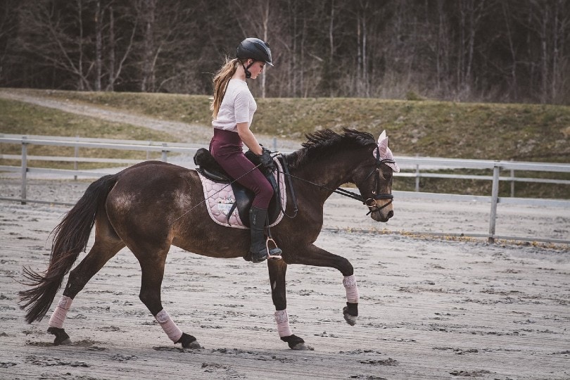 girl horseback riding
