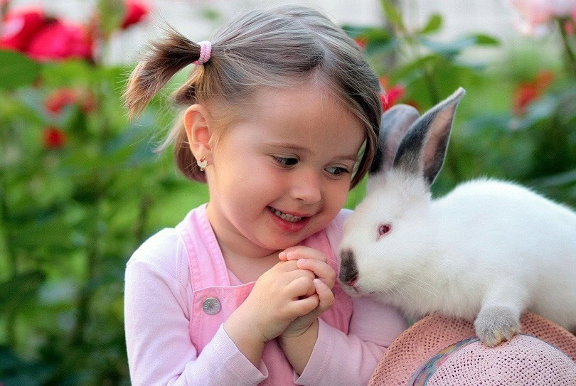 girl-rabbit-pixabay