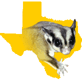 gliderpets logo