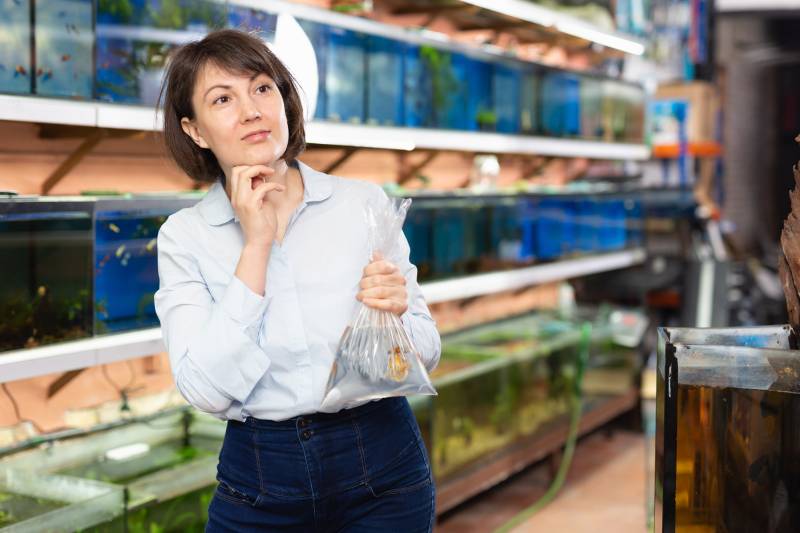 happy young woman with goldfish for home aquarium in petshop