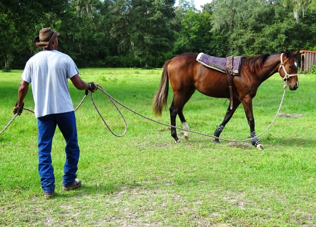 horse and trainer