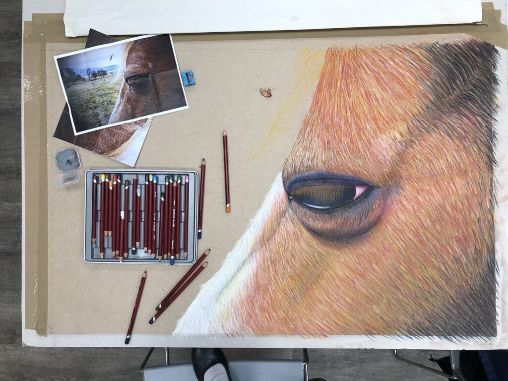 horse artwork
