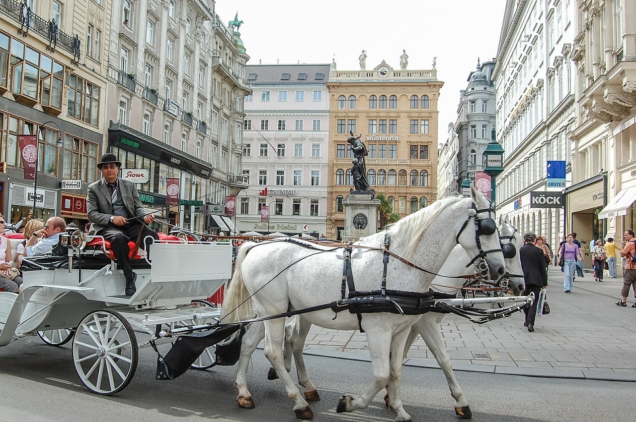 horse in the city