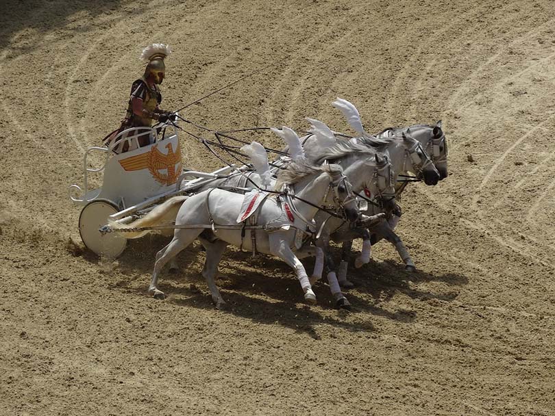 horse race chariot