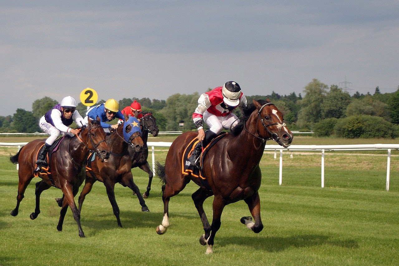 horse racing