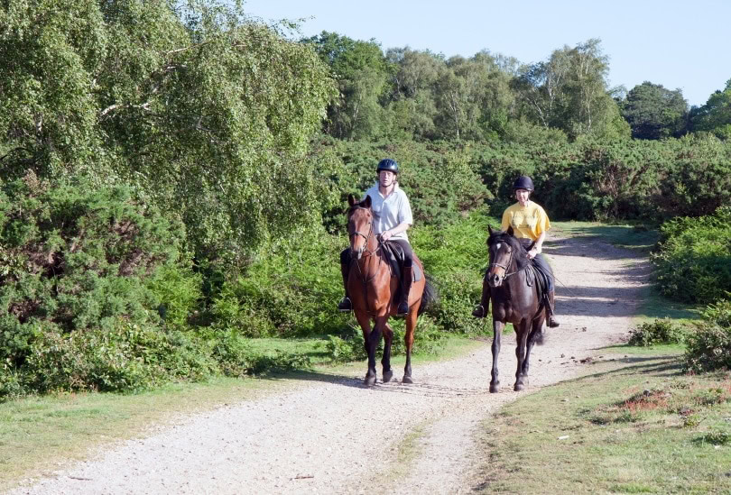 horse riders_No-longer-here_Pixabay