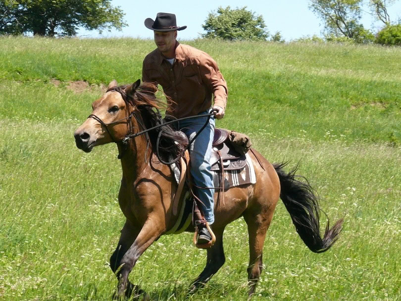horse ridng_martinme2d_Pixabay