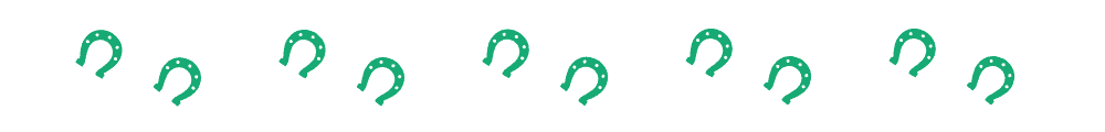 new horse shoe divider