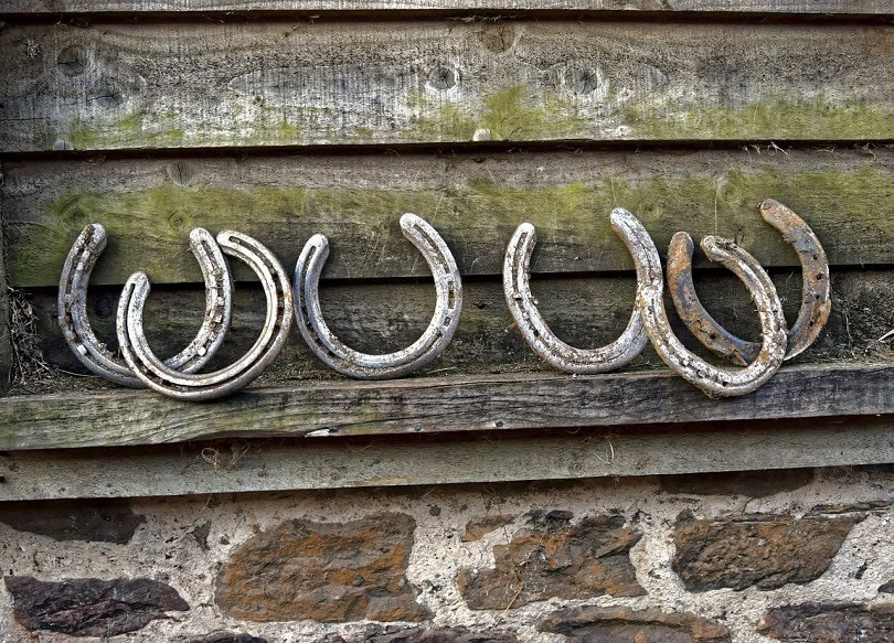 horse-shoes-pixabay