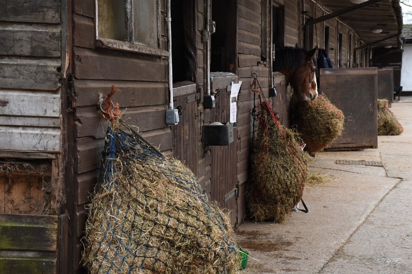 horse stables