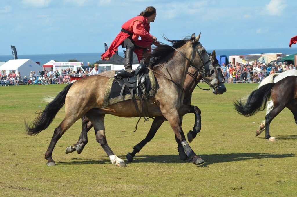 horse stunt rider