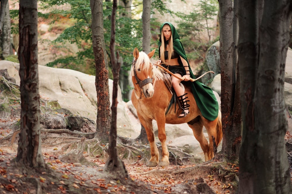 horse with elf