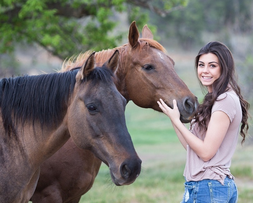 horses