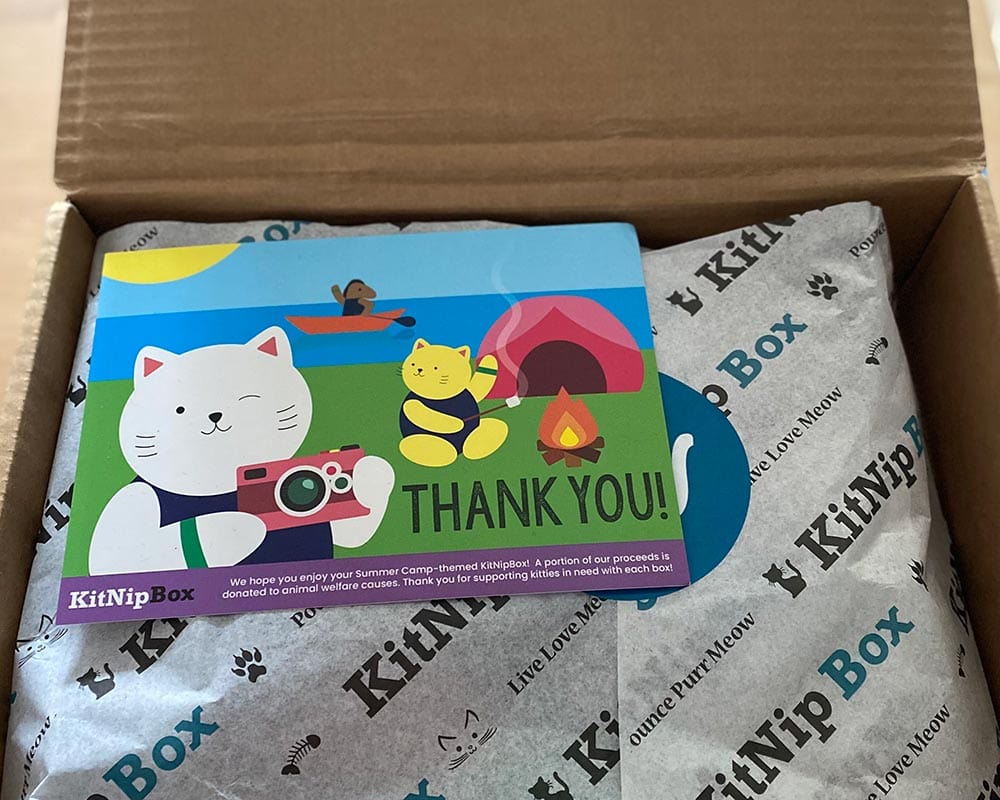 kitnipbox contents