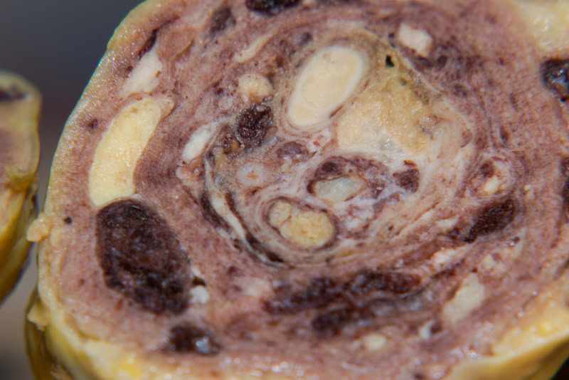 lash egg close up