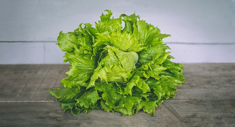 Can horses eat lettuce
