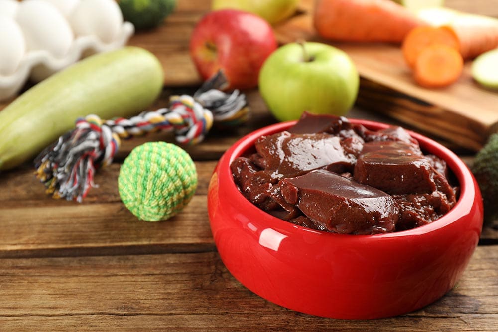 liver on dog's feeding bowl