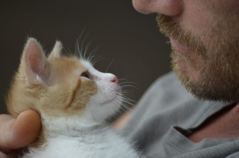 man and cat