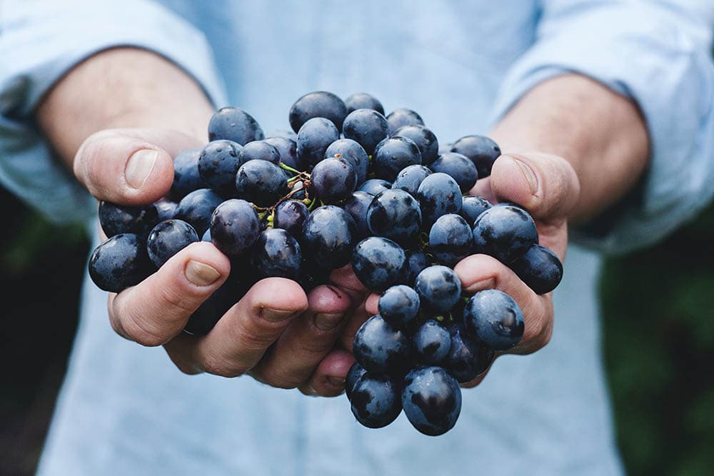 man carrying a bunch of grapes