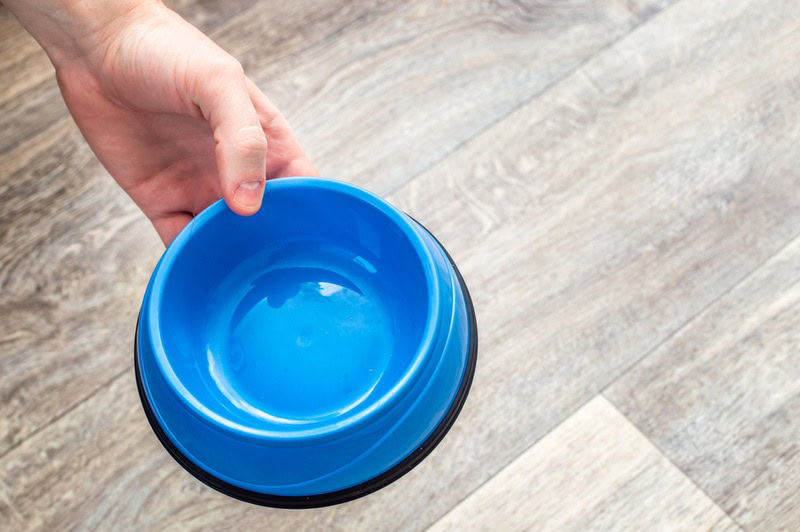 man holding clean dog food bowl