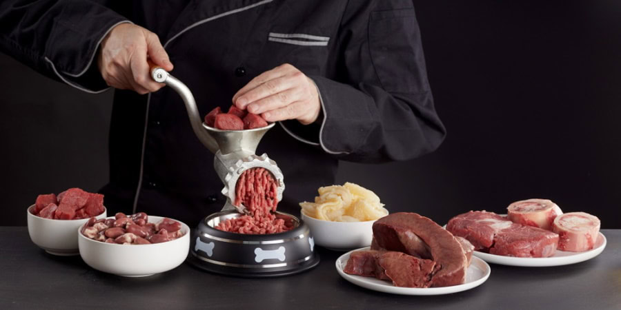 man preparing homemade dog food