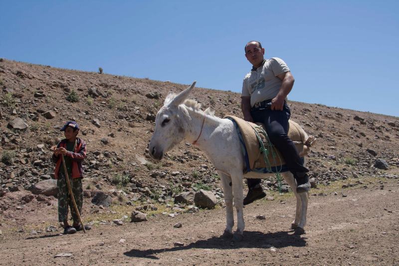 man riding a donkey