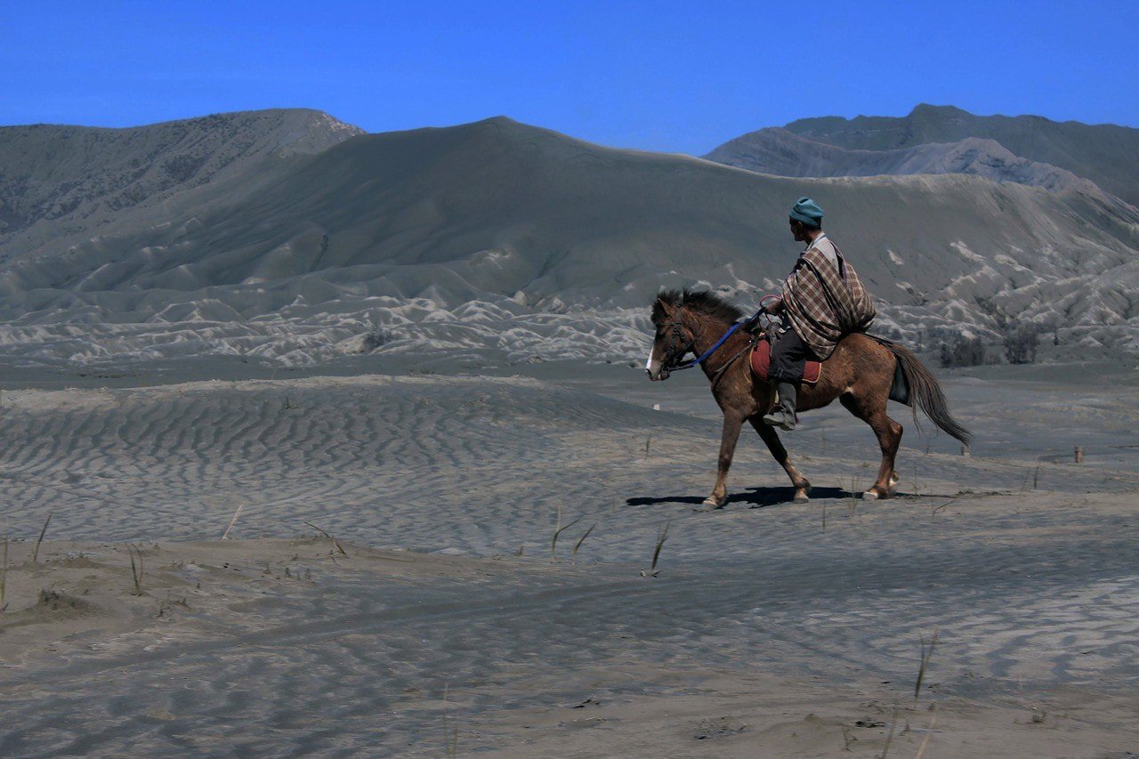 man riding a horse in the desert