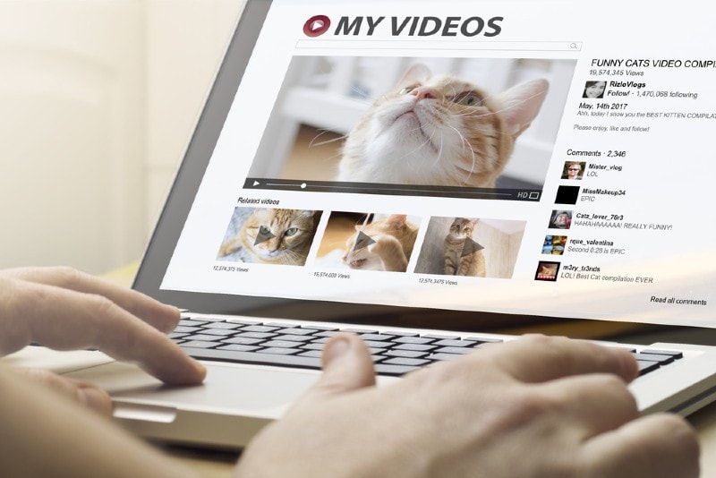 man watching cat videos on laptop