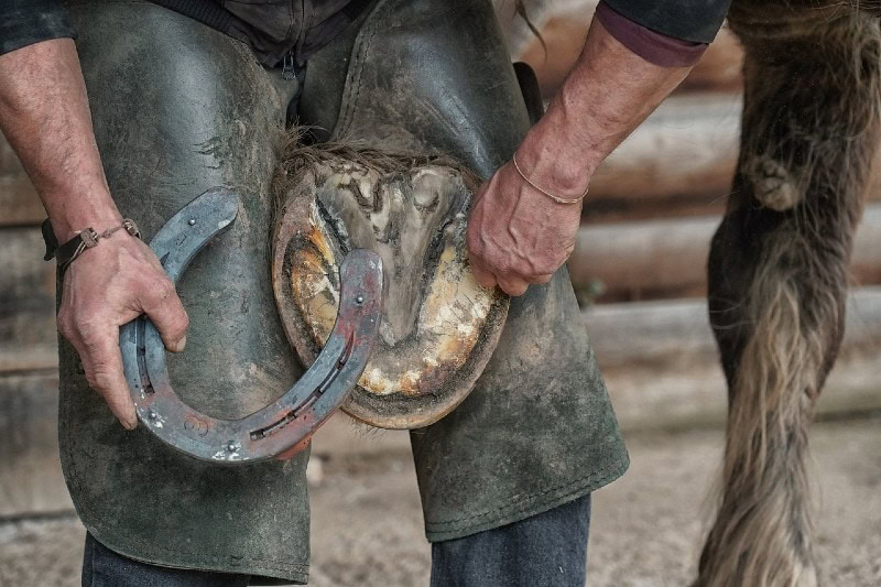 man wearing horseshoe on horse hoof