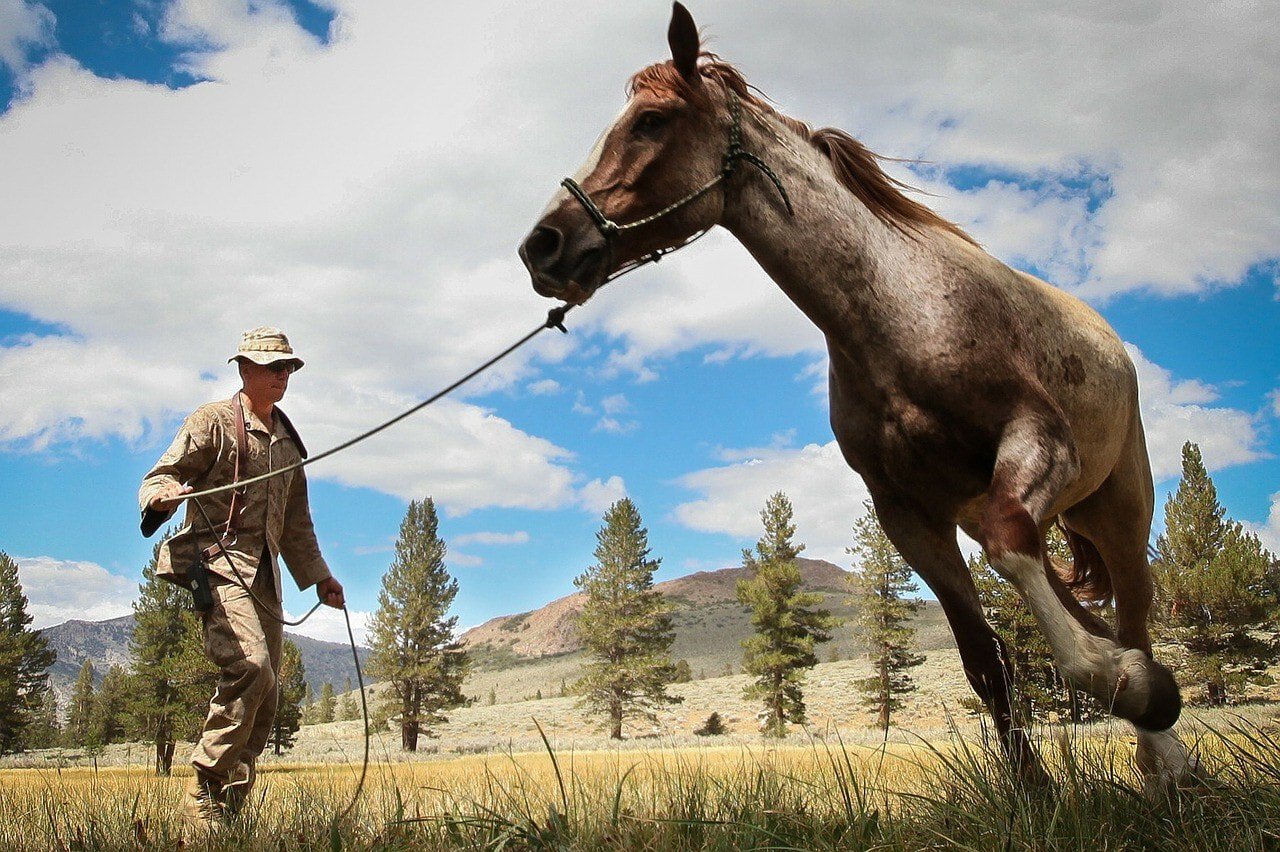 man with horse leading left foot