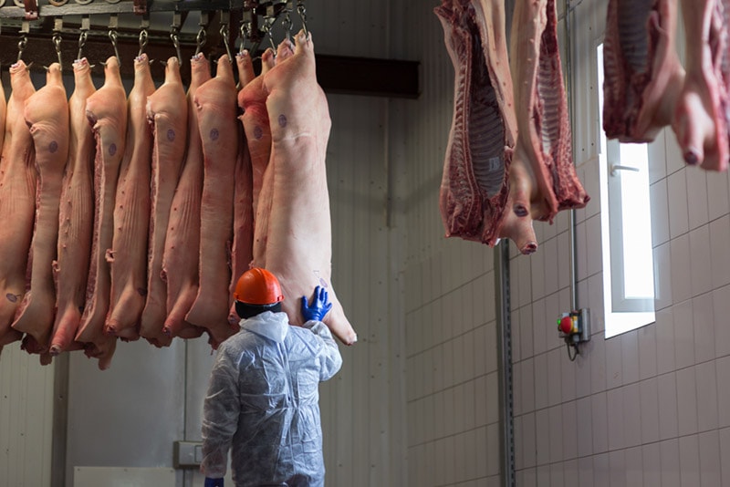 meat processing plant