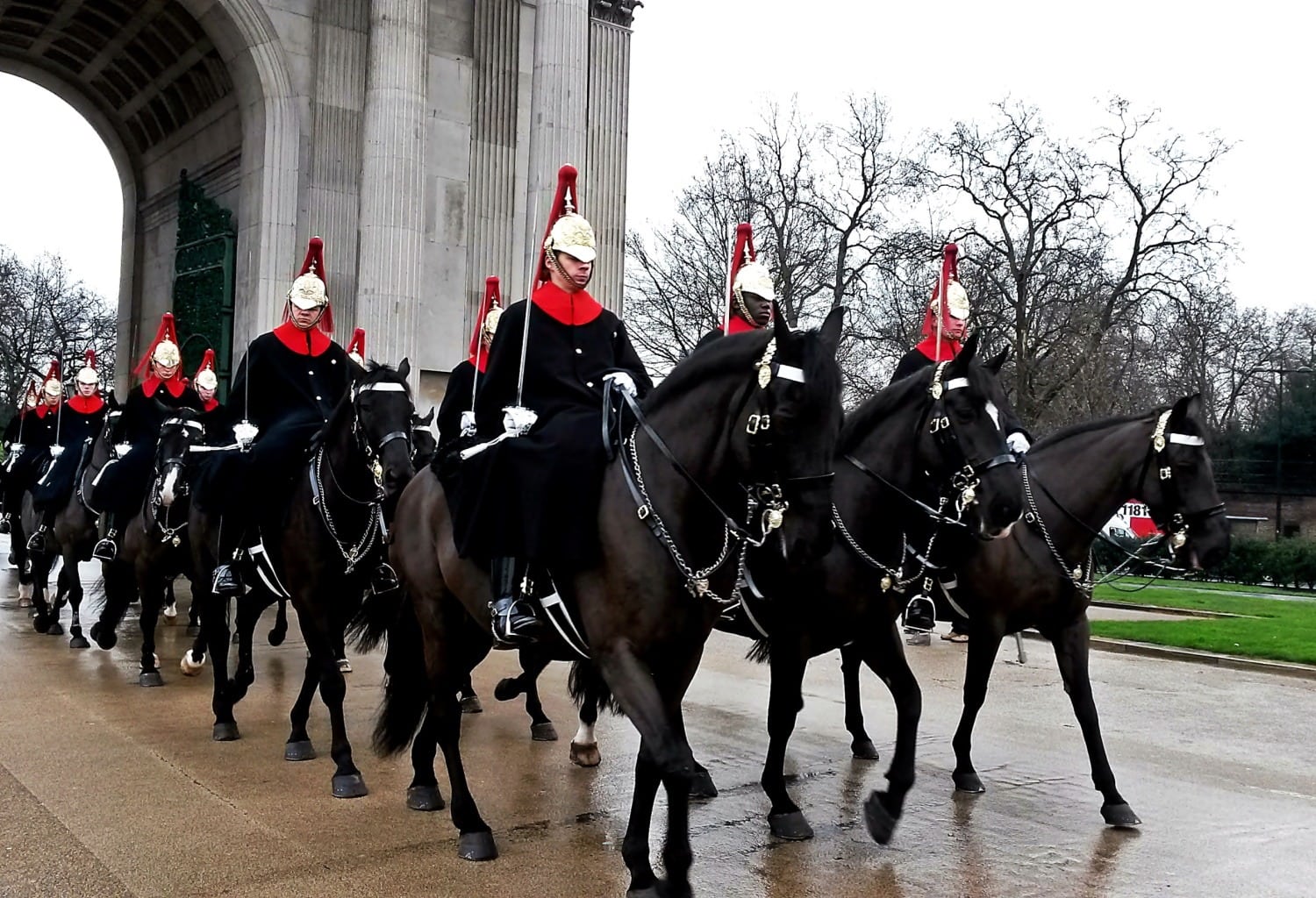 Military Horses