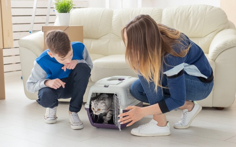 mom and son releasing from pet carrier their new adult gray cat inside the house