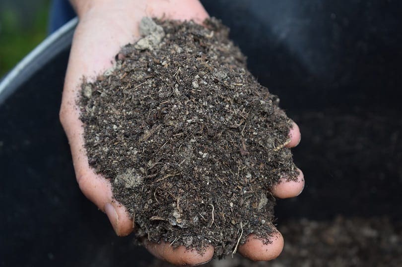 mulch-pixabay