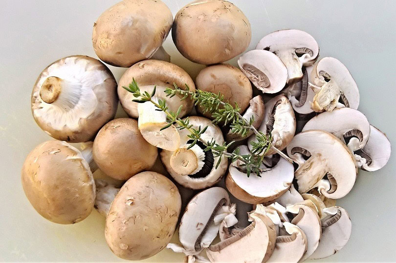 mushrooms