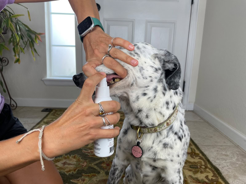 oral cleansing spray used on dog's teeth