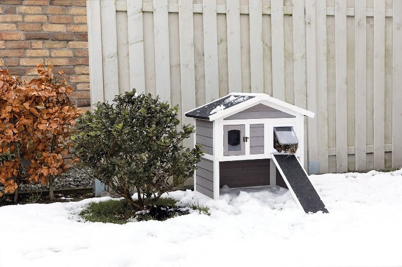 outdoor cat house during winter