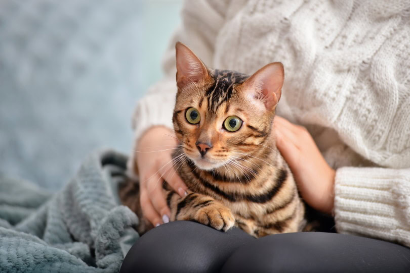 owner with her cat at home