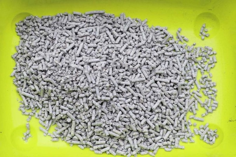 paper cat litter