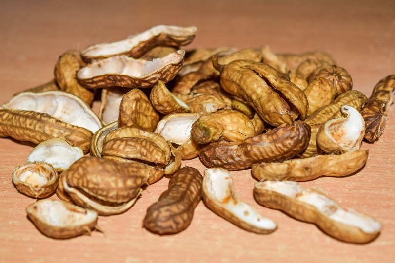 peanut shells