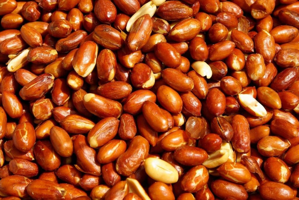 peanuts without shells