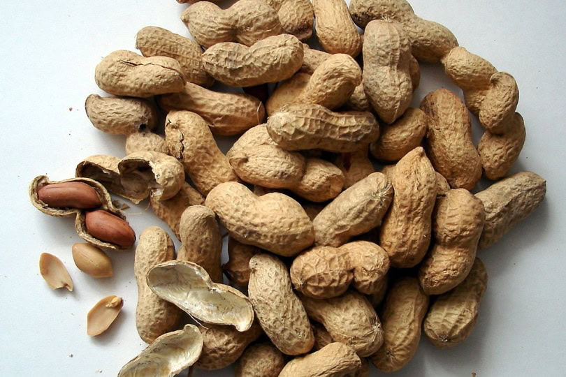 peanuts