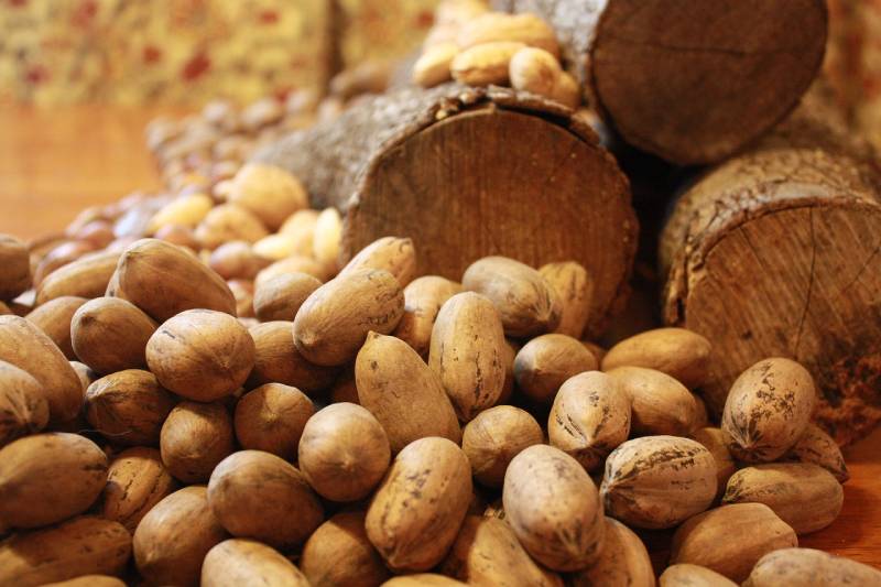 pecan nuts
