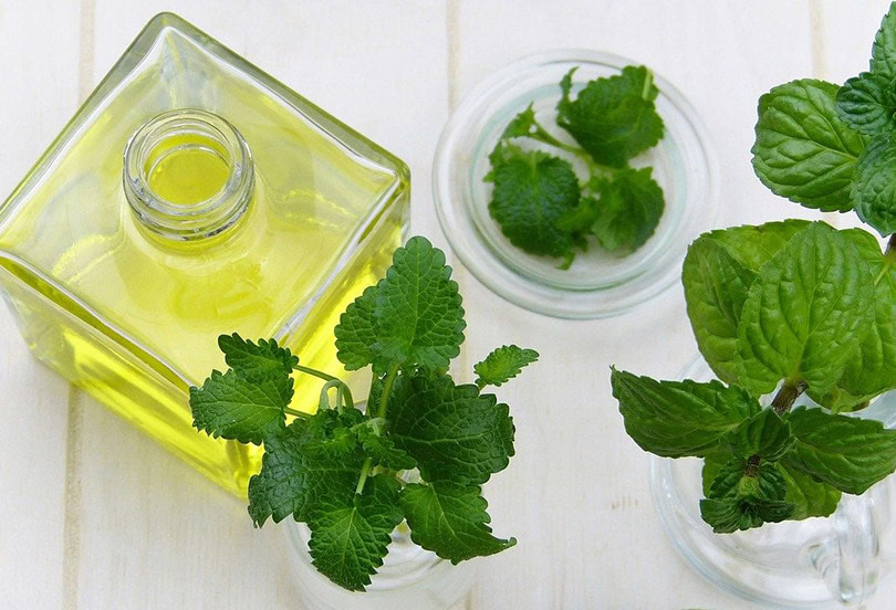 perppermint essential oil